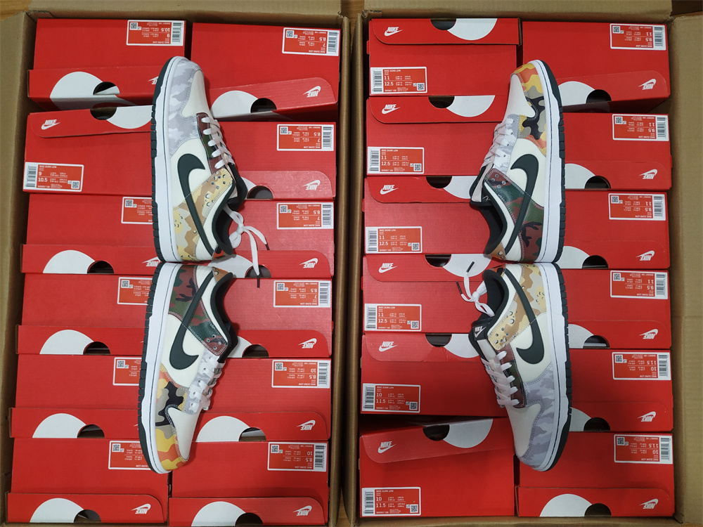 Dunk Low SE Sail Multi-Camo DH0957-100
