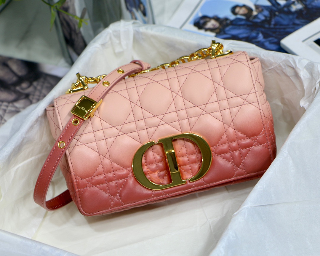 D*or 2021 caro bag-20*12*7cm