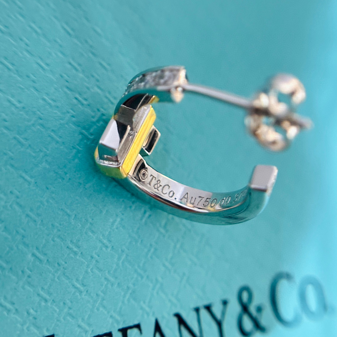 T*f*ny earring