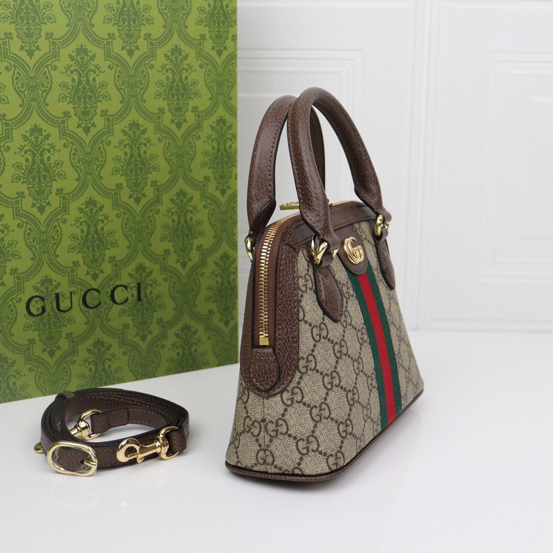 Gvc*1 ophidia bag-25x20x7.5cm