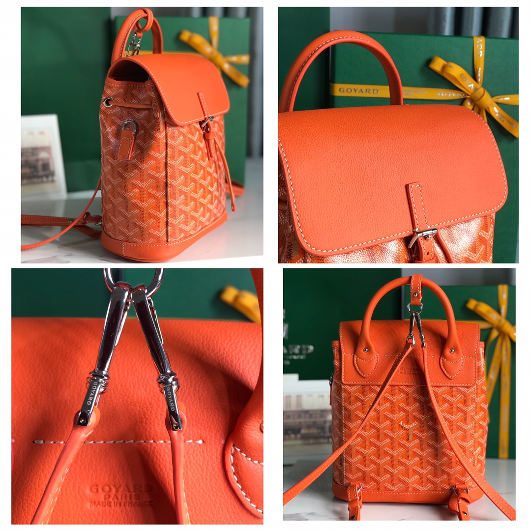 Go*ard alpin backpack-18.5*21.5.*8.5cm