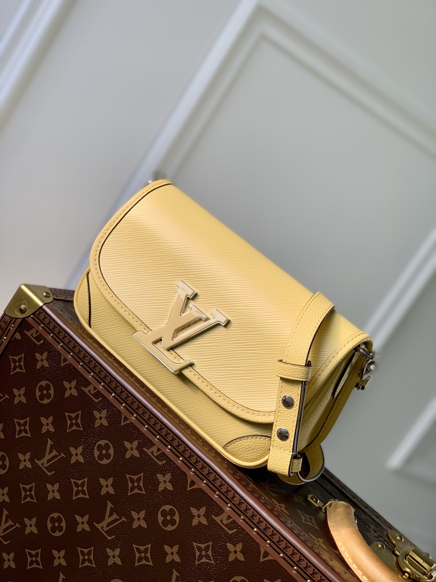l0*is V*t0n buci handbag-24.5 x 15.5 x 9cm