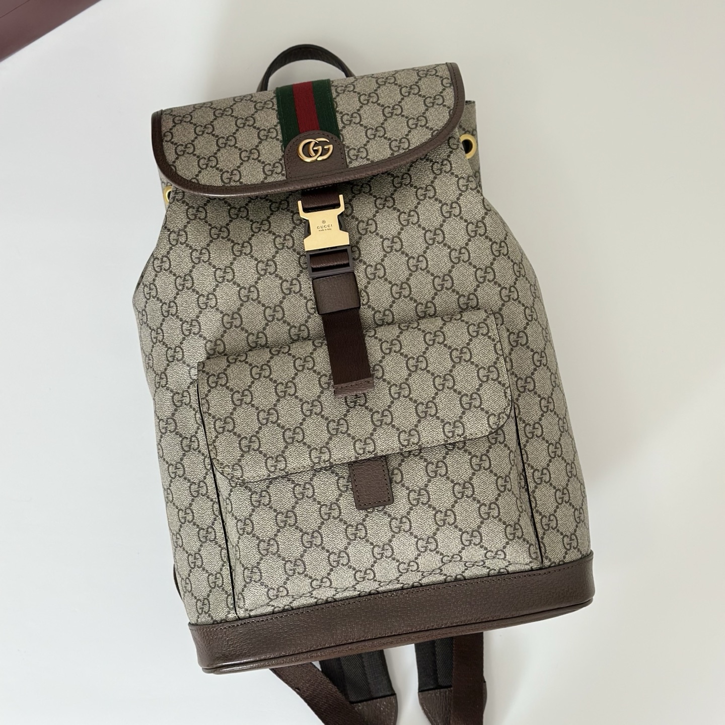 Gvc*1 ophidia backpack-28*40*12cm