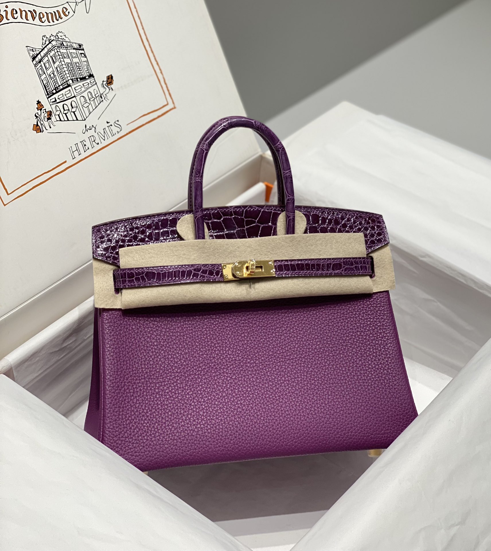 H**me5 Birkin 25CM